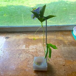 3/$15. Flower holder